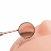 Round Lash Mirror