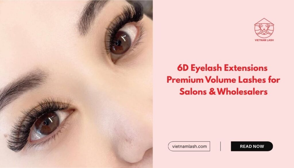 6D Eyelash Extensions